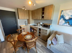 A ESTRENAR en la Mejor Zona de Puerto Varas 4PAX Servicio HOM